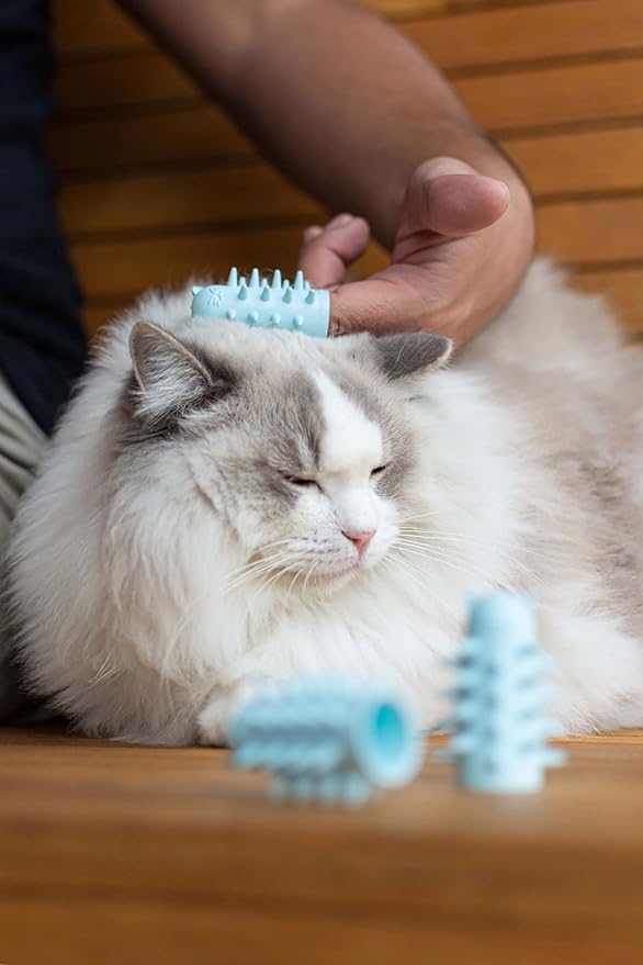 Furr&Purr Cat Brush Set for Indoor Cats - Grooming Tools: Face Scratcher, Calming Massager, and Scratching Pad (2-Pack, Made in the USA)-Mewly Pet