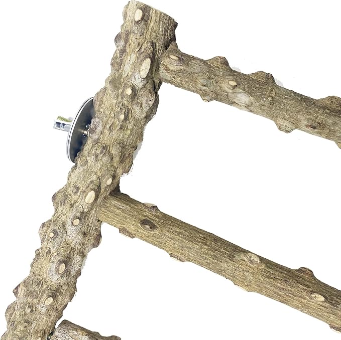 Allazone 3 PCS Nature Wood Bird Ladder Perch Nature Wood Stand Parrot Chew Toy Cage Hanging Pet Cage Bird Climbing Step Ladders for Small Animal-Mewly Pet