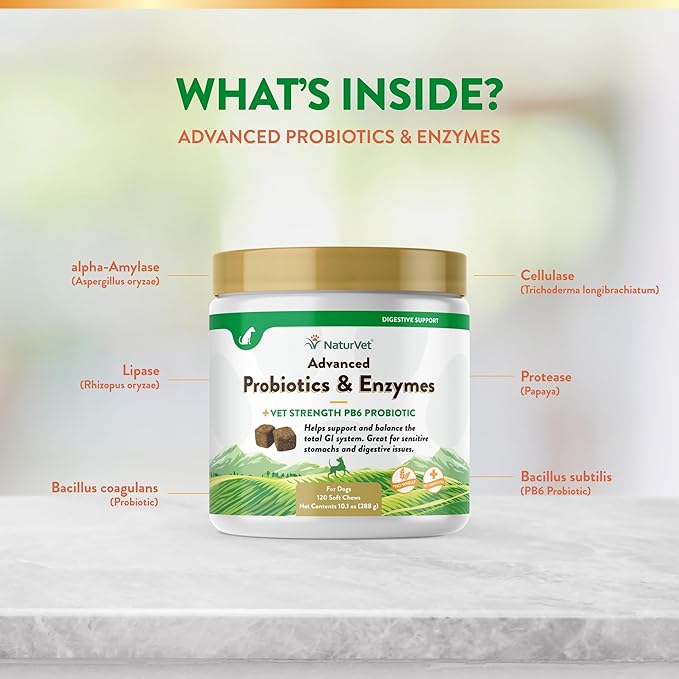NaturVet Advanced Probiotics & Enzymes, PB6 Dog Soft Chews to Help Sensitive Stomachs and Digestive Issues, Hickory Smoked Bacon Flavored Pet Supplement for Dogs Over 6 Weeks, 120 Count Jar-Mewly Pet