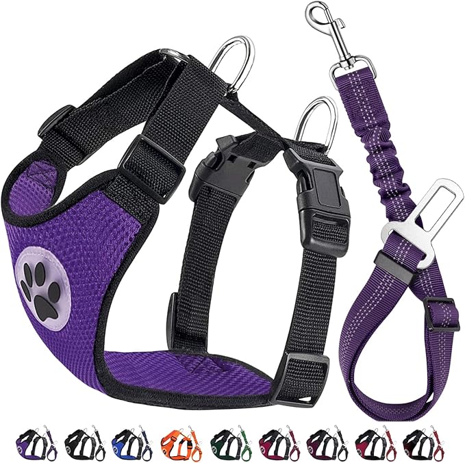 Lukovee Dog Seat Belt for Car, Adjustable Dog Car Harness for Large Medium Small Dogs, Soft Padded & Breathable Mesh Dog Seatbelt with Car Vehicle Connector Strap (Purple,Small)-Mewly Pet