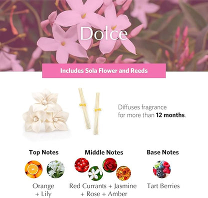 AGRARIA AirEssence Flower and Reed Diffuser Set, Handmade Sola Flower Botanical Home Fragrance Set, Scented Oil Reed Diffuser Gift for All Occasions