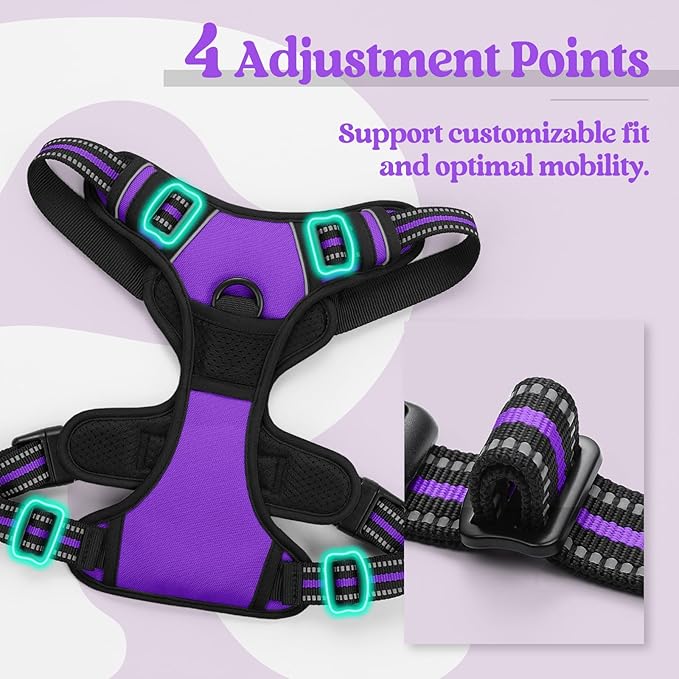 rabbitgoo Dog Harness, No-Pull Pet Harness with 2 Leash Clips, Adjustable Soft Padded Dog Vest, Reflective No-Choke Pet Oxford Vest with Easy Control Handle for Large Dogs, Purple, L-Mewly Pet