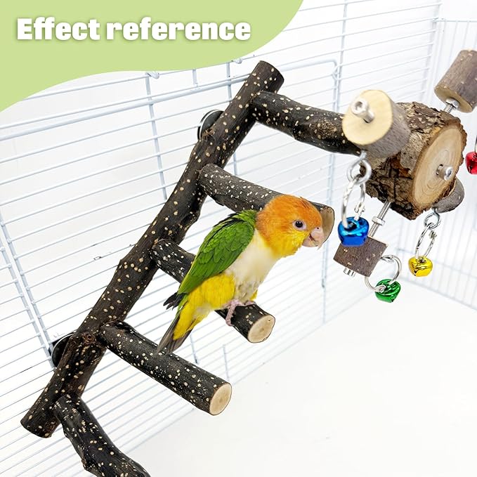 BNOSDM Natural Wood Bird Ladder Perch with Rotating Bell Toys-Exercise Stands for Parrot Climbing Chewing Parakeet Bridge Cage Accessories for Cockatiel, Conures, Lovebirds, Budgie-Mewly Pet