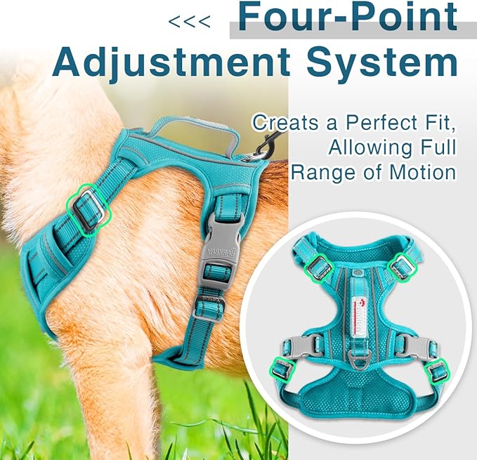 BARKBAY Dog Harness No Pull with ID Tag Pocket - Heavy Duty, Reflective, Easy Control for Large Dogs(Ocean Blue,S)-Mewly Pet