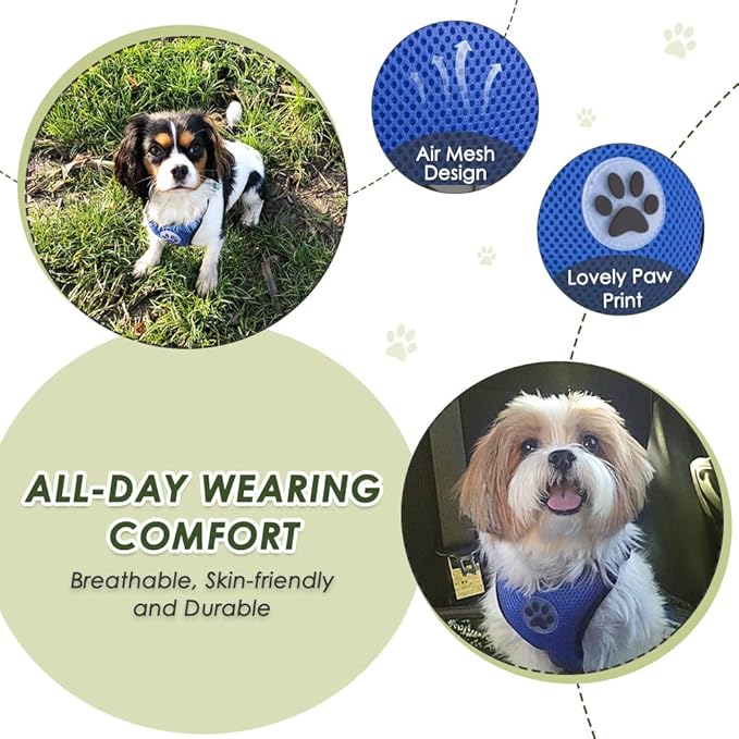 SlowTon Dog Seat Belt Harness for Car, Dog Car Harness Adjustable Mesh Breathable & Dog Seatbelt Safety Tether with Elastic Bungee for Small Medium Large Pets(Blue, Double Clip, L)-Mewly Pet