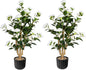 36” Artificial Camellia Tree 2 Packs, Faux Camellia Plant in Pebbles Pot with White Flowers, Greenery Camellia Tree for Spring Home Front Door Outdoor Indoor Decoration, White