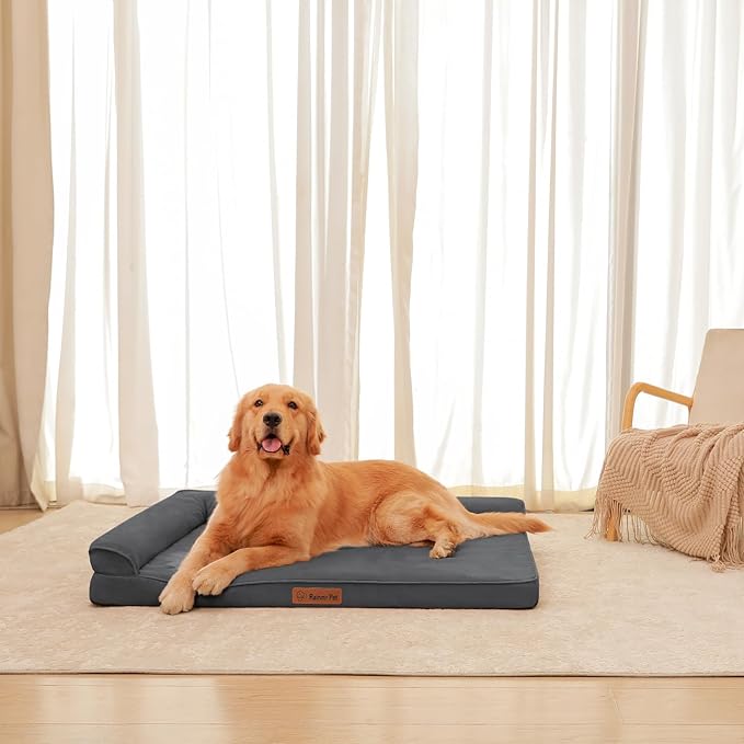Chew Proof Dog Bed, 3" Memory Foam Dog Bed for Medium and Large Dogs, Removable and Washable Microsuede Cover, Waterproof Liner, Nonskid Bottom, 44x32, XXL Dark Grey-Mewly Pet