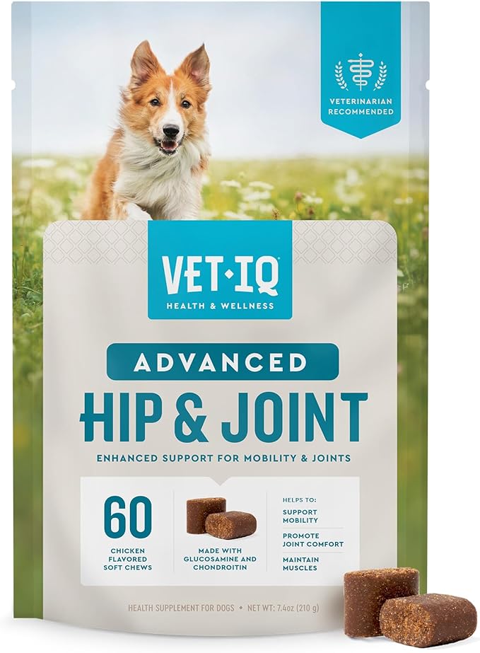 VetIQ Advanced Hip & Joint Chews For Dogs, 60 Count, Chicken Flavored Supplements Made with Glucosamine, Omega 3’s, Chondroitin, MSM & Green Lipped Mussel, Increases Mobility & Maintains Muscles-Mewly Pet