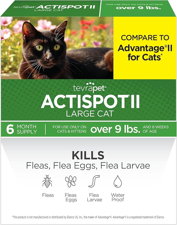 TevraPet Actispot II Flea Treatment for Large Cats 9+ lbs | 6 Doses | Powerful Prevention and Control-Mewly Pet