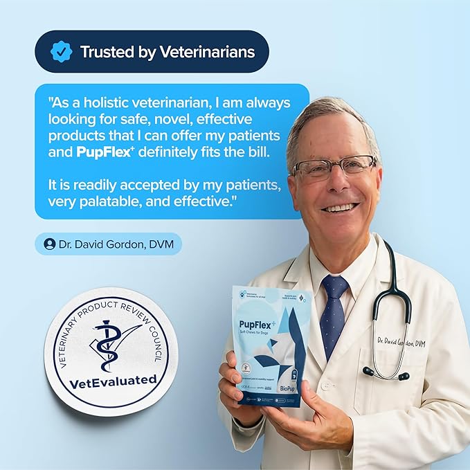 PupFlex+ Hip and Joint Supplement Dogs, Vet Created Soft Chews with UC-II® Collagen for Dogs, CurcuVET® & Omega 3, Proven More Effective Than Glucosamine Chondroitin, Dog Joint Supplement (60 ct)-Mewly Pet