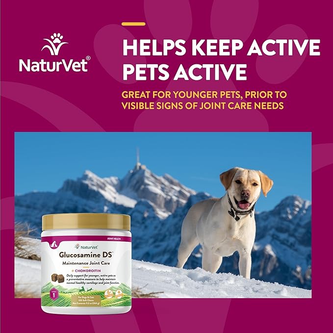NaturVet Glucosamine DS Level 1 Maintenance, Joint Care Support Supplement for Dogs and Cats, Soft Chews, Made in The USA-Mewly Pet