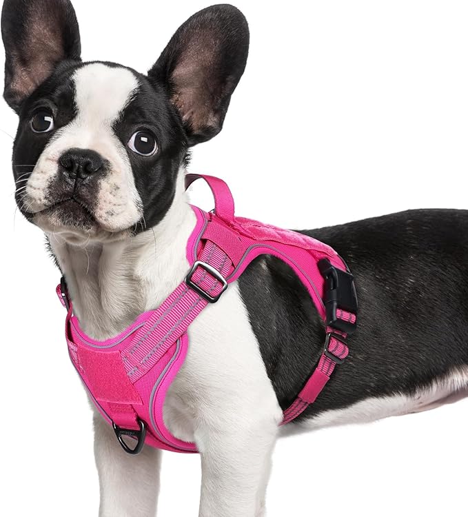 rabbitgoo Dog Harness Small Sized No Pull, Tactical Service Pet Vest with Molle and Control Handle, Adjustable and Reflective Military Harness for Easy Walking and Training, Rose Red, S-Mewly Pet