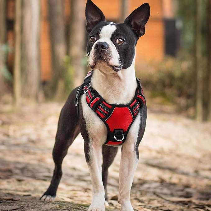 rabbitgoo Dog Harness Small Sized, No Pull Dog Vest with 3 Buckles, Adjustable Soft Padded Pet Harness with Easy Control Handle and Reflective Strips, Red, S-Mewly Pet