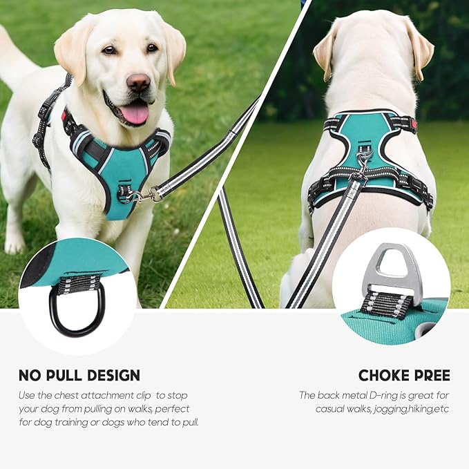 Timos Dog Harness, No-Pull Pet Harness with 2 Leash Clips, 3 Snap Buckles Adjustable Soft Padded Dog Vest, Reflective No-Choke Pet Oxford Vest with Easy Control Handle for Small Medium Large Dogs-Mewly Pet