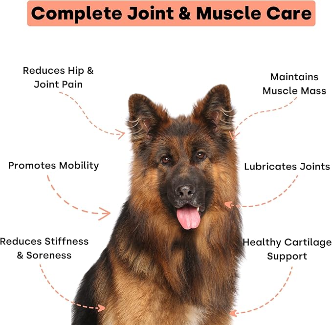 Joint & Recovery | 2-in-1 Joint & Muscle Chews. Help Reduce Pain & Increase Daily Activity. Helps with Arthritis and Pain Prevention. Tasty Trout Flavor.-Mewly Pet
