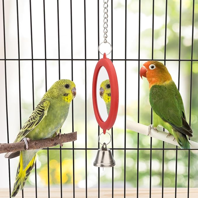 Hypeety Pet Bird Mirror with Bell Interactive Parrot Toy Bird Cage Mirror for Cockatiel Parakeets Canaries Budgie (RED)-Mewly Pet