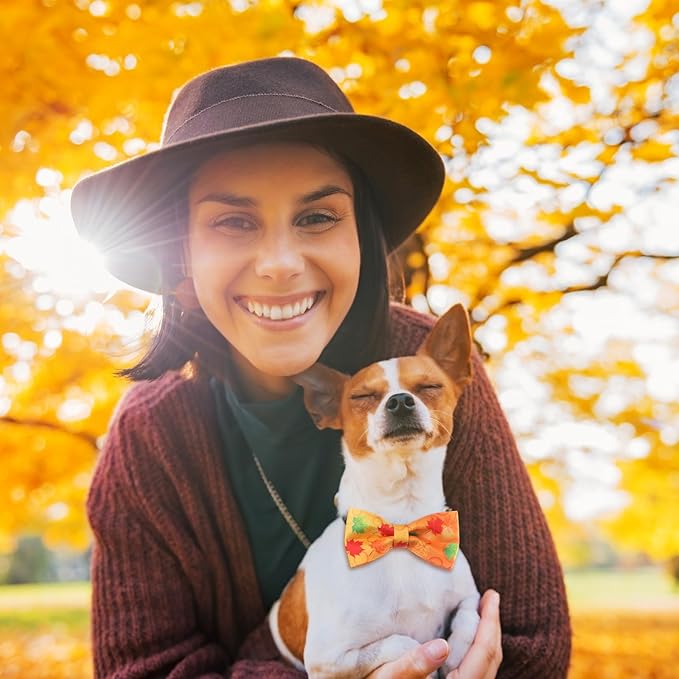 Hillban 50 Pcs Fall Collar Dog Bow Ties Maple Leaves Dogs Collar Accessories Pets Bow Ties Attachment with Elastic Bands Detachable Charms for Doggie Fall Autumn Costume-Mewly Pet