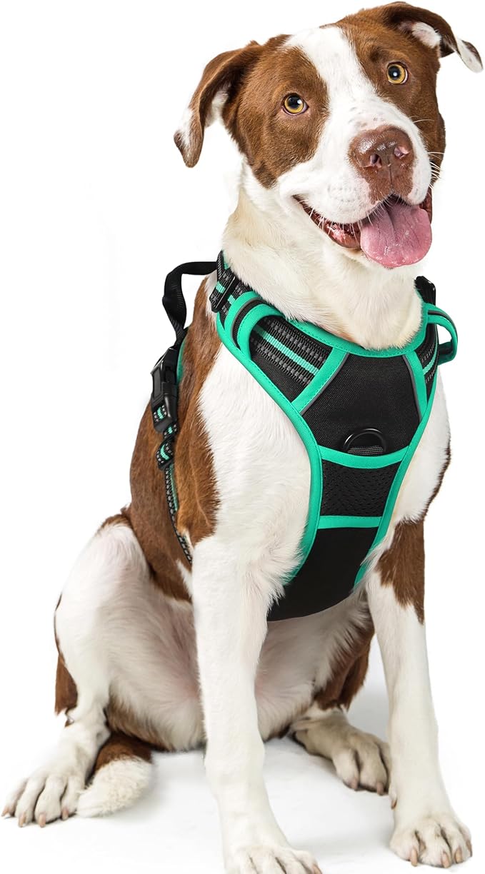 rabbitgoo Dog Harness No Pull with 2 Leash Clips, Adjustable Soft Padded, Reflective Oxford No Choke Pet Vest with Easy Control Handle for Large Dogs, Black & Turquoise, L-Mewly Pet