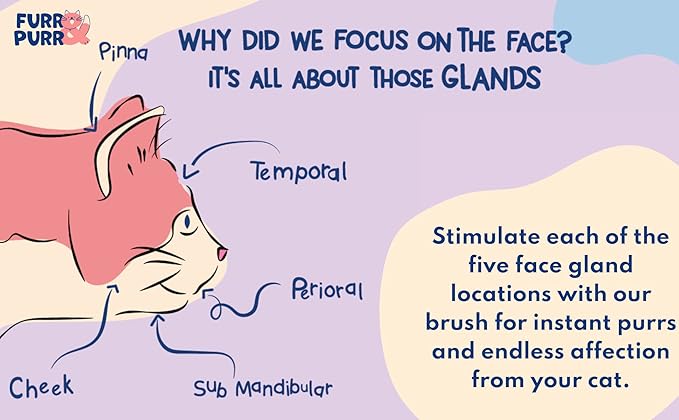 Furr&Purr Cat Brush, Scratcher, and Massager - Indoor Cat Calming Care with Face Scratcher, Finger Brush (3-Pack, Made in USA)-Mewly Pet