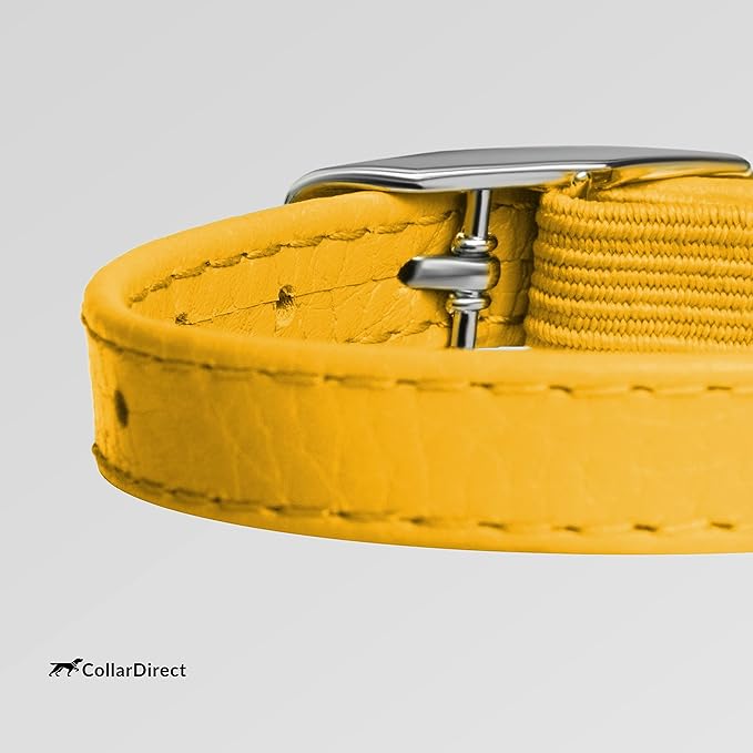 CollarDirect Leather Cat Collar with Removable Bell – Safety Kitten Collar with Elastic Strap (Yellow, 15 - 18 cm)-Mewly Pet