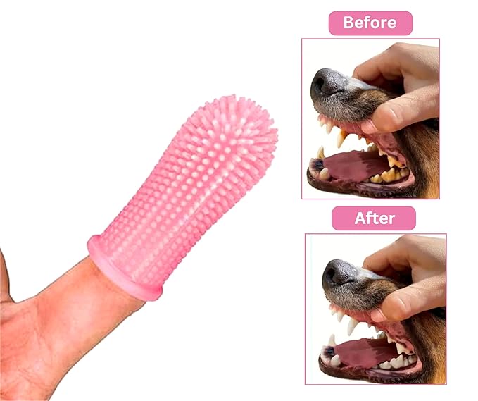 3-in 1 Dog & Cat Grooming Supplies- Self-cleaning Slicker Brush, Deshedding Rake Comb, And Finger Toothbrush For Dogs & Cats | Perfect For Pet Grooming Kit, Dematting And Dental Tool (pink)-Mewly Pet