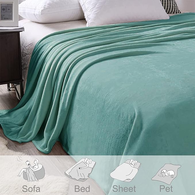 Exclusivo Mezcla Fleece Blanket Twin Size for Bed, Super Soft and Warm, All Season Use, Cozy, Plush, Lightweight, 90x66 Inches, Celadon