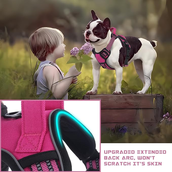 BUMBIN Dog Harness for Large Dogs, No Pull Adjustable No Choke Pet Vest with Dog Leash Fit Smart Reflective Pet Walking Harness for Training Easy Control Soft Handle Rose Red M-Mewly Pet