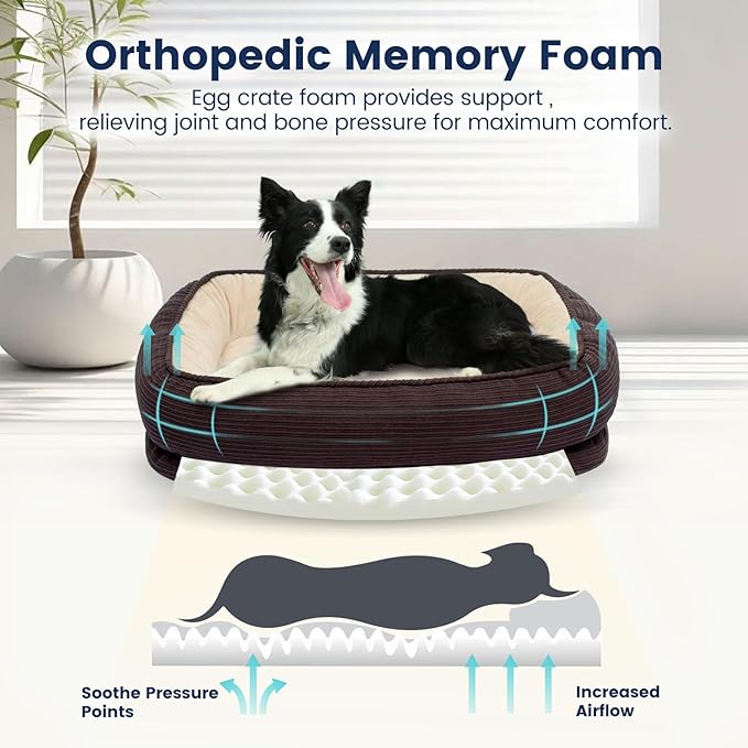 Orthopedic Dog Bed for Medium Size Dog Washable Cover, Egg Crate Foam Cat Bed for Senior Cat,Oval Kennel Bed, Pet Couch Bed with Four Sided Bolster, Removable Washable Cover Non-Slip Bottom, Brown-Mewly Pet