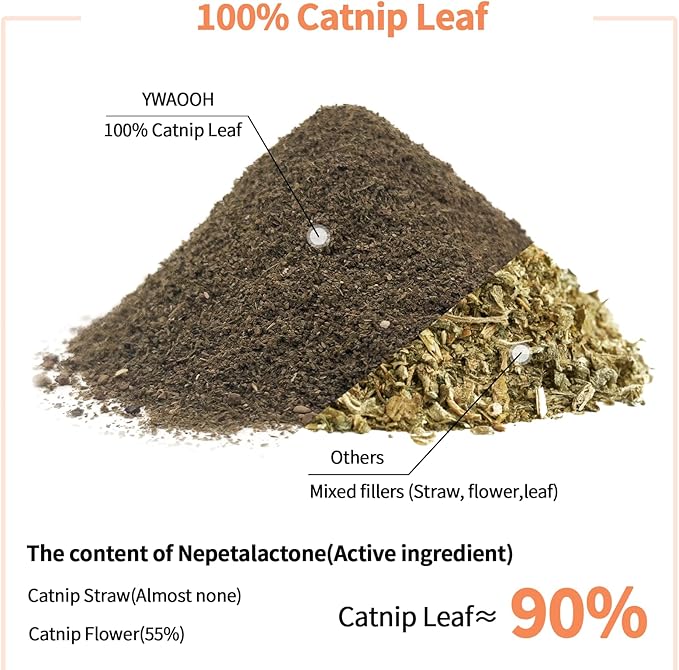 Premium Catnip for Cats & Kittens – Cold-Processed, High Potency Nepetalactone, 100% Pure Leaf-Only Catnip for Toys, Scratchers, Refills, Stimulates Play & Protects Furniture - 10g-Mewly Pet