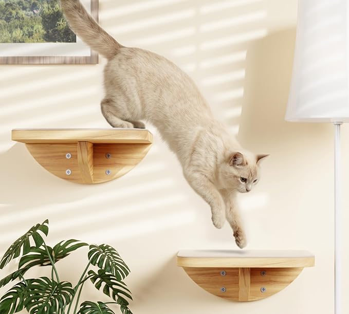 Cat Wall Shelves and Cats Window Perch – Natural Wood 4-Piece Set with Foam-Padded Curved Bed and Felt Steps, Space-Saving Wall Mounted Design-Mewly Pet