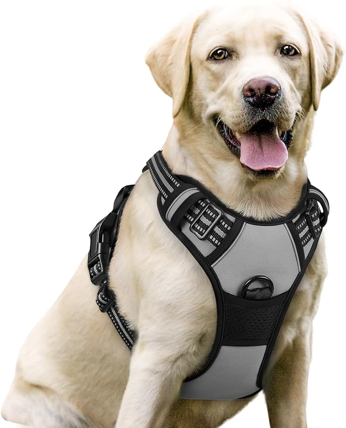 rabbitgoo Dog Harness No Pull with 2 Leash Clips, Adjustable Soft Padded, Reflective Oxford No Choke Pet Vest with Easy Control Handle for Large Dogs, Grey, L-Mewly Pet
