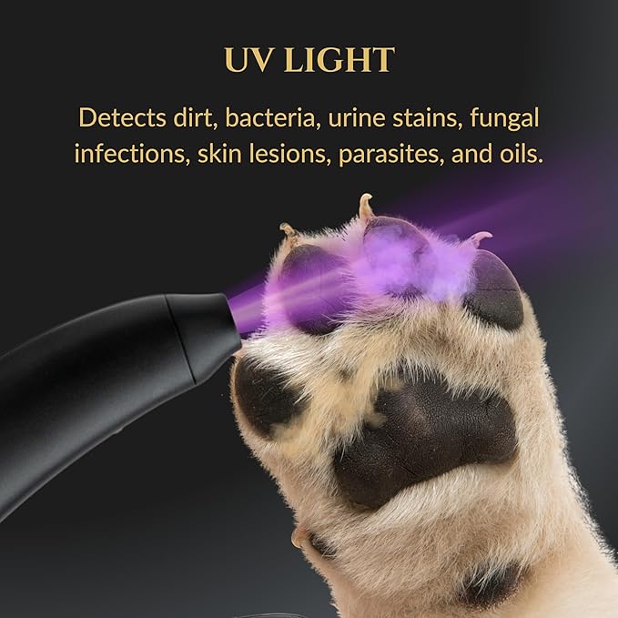 3-in-1 Dog Nail Trimmers and Pet Nail Clippers - Professional Grade with Stainless Steel Blades, LED & UV Light, and Nail Filer for Safety & Precise Toenail Pet Grooming - S to M Dogs-Mewly Pet