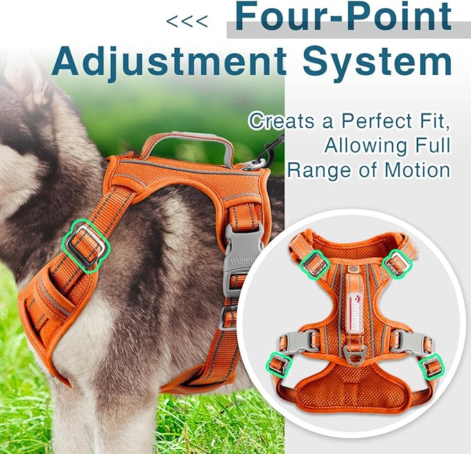 BARKBAY Dog Harness No Pull with ID Tag Pocket - Heavy Duty, Reflective, Easy Control for Large Dogs(Orange,XL)-Mewly Pet