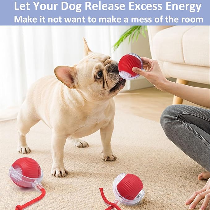 Interactive Cat Toys for Indoor Cats, 360° Smart Automatic Kitten Toys Self Rolling Pet Ball, Moving Dog Cat Ball with Mesh Tail for Bored, USB Rechargeable (Red)-Mewly Pet