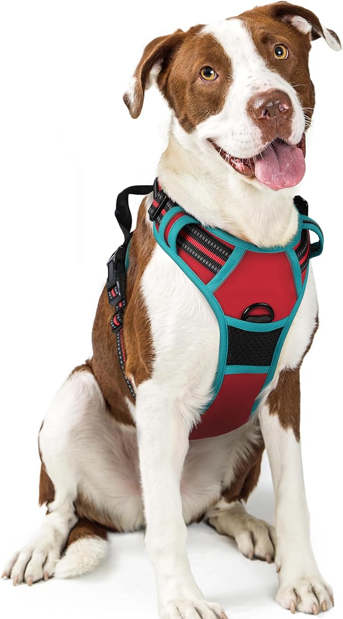 rabbitgoo Dog Harness No Pull with 2 Leash Clips, Adjustable Soft Padded, Reflective Oxford No Choke Pet Vest with Easy Control Handle for Large Dogs, Red & Teal, L-Mewly Pet