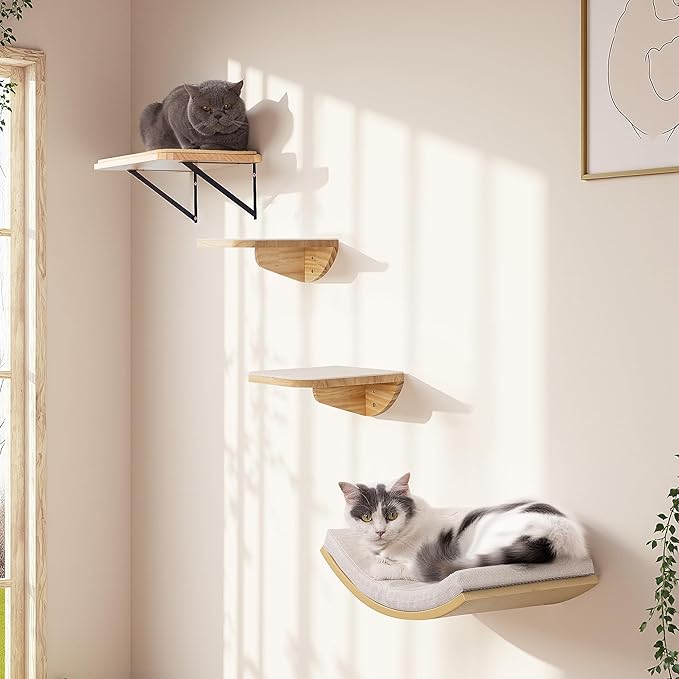 Cat Window Perches, Curved Cat Wall Sisal Mat Bed and 2 Floating Wall Steps, Wall Mounted Climbing Shelves for Sleeping, Playing, and Lounging-Mewly Pet