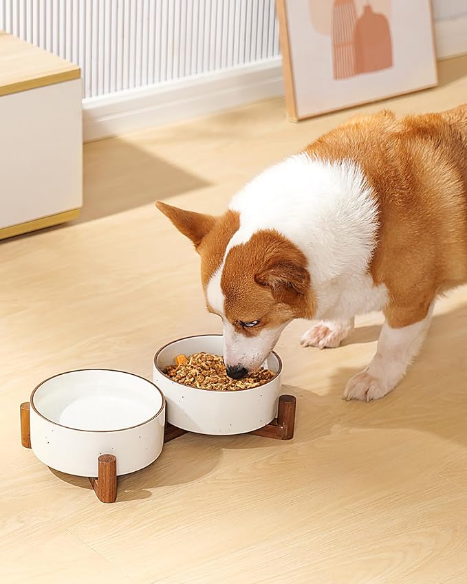 Getstar Ceramic Dog Bowls with Acacia Wood Stand, 30 fl oz, Set of 2, Dog Food Bowl with Colored Rim-Mewly Pet
