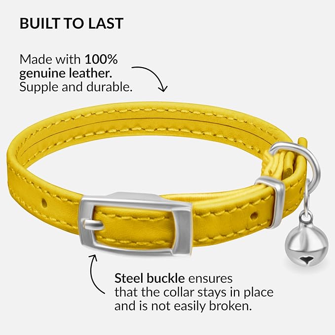 CollarDirect Leather Cat Collar with Bell - Kitten Collar, Small and Big Cat Strap for Boy Cats, Girl Cats with Safety Elastic Strap (Neck Fit 8"-11", Yellow)-Mewly Pet