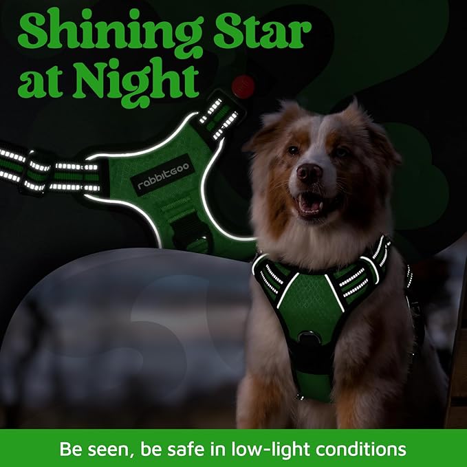 rabbitgoo Dog Harness for Large Dogs, No Pull Pet Vest with 3 Buckles, Adjustable Soft Padded Pet Harness with Easy Control Handle and Reflective Strips, Green, XL-Mewly Pet