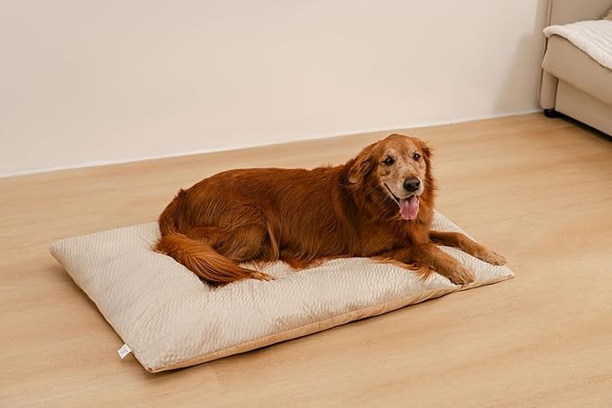 FUNNY FUZZY Washable Dog Bed,Reversible Plush Dog Crate Mat, Soft Fluffy Kennel Pad,Pet Sleeping Mattress for Jumbo,X-Large Sized Dogs Breeds,2XL,48"× 31",Beige-Mewly Pet