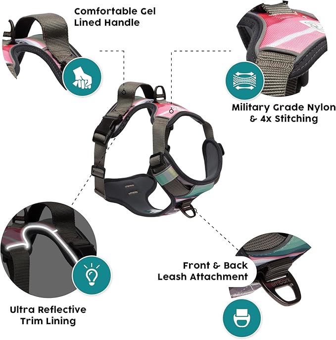 Embark Adventure Dog Harness, Reflective Trim No Pull Dog Harnesses for Small Sized Dogs - Military Grade Nylon, Front Clip with Gel Lined Handle. Soft & Padded Puppy-Mewly Pet