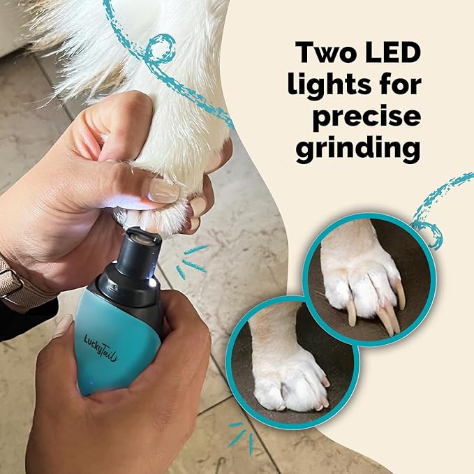 LuckyTail Pet Nail Grinder for Dogs and Cats - Super Quiet and Low Vibration Electric Dog Nail Grinder with 2 LED Lights - USB Rechargeable and Cordless - 2 Speeds - Small to Large Pets - Teal-Mewly Pet