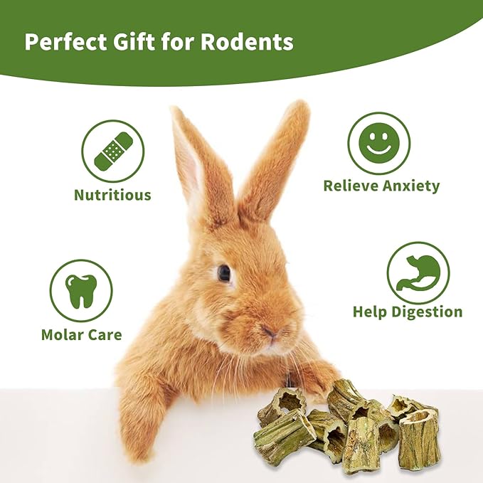 Fhiny Rabbit Chew Toys, 8 PCS 2" Natural Papaya Wood Chew Sticks Guinea Pig Treats for Dental Care Bunny Treats for Rabbits Small Pet Molar Snacks for Bunny Guinea Pig Chinchilla Hamster Gerbil-Mewly Pet