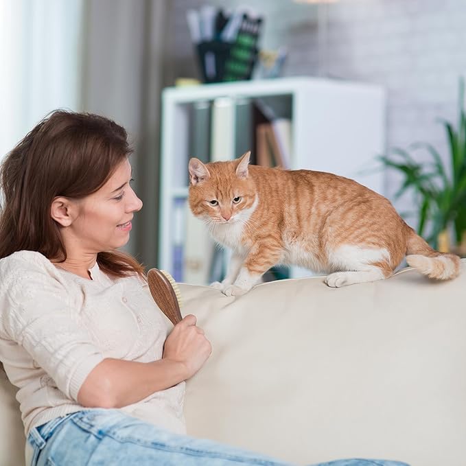 Takavu Natural White Boar Bristle Cat Brush - Gentle Grooming Tool for Sensitive Skin, Smoothing Fur & Healthy Shine - Soft Pet Brush-Mewly Pet