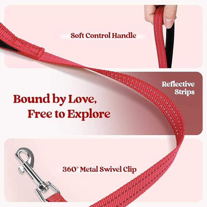 rabbitgoo Dog Harness Small Sized and Leash Set, Step in Soft Light Puppy Vest, Breathable Mesh Pet Harness, Reflective for Safe Easy Walking, Red XXS-Mewly Pet