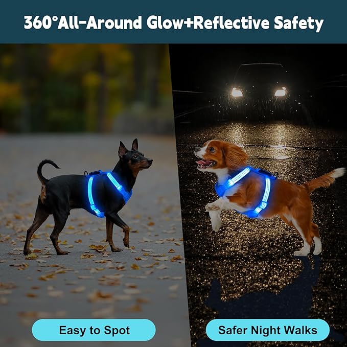 Rechargeable Light Up Dog Harness for Small Dogs – Adjustable LED Dog Vest with Reflective Strips, No Pull Glow in The Dark Puppy Harness for Night Walking Safety-Blue-Mewly Pet