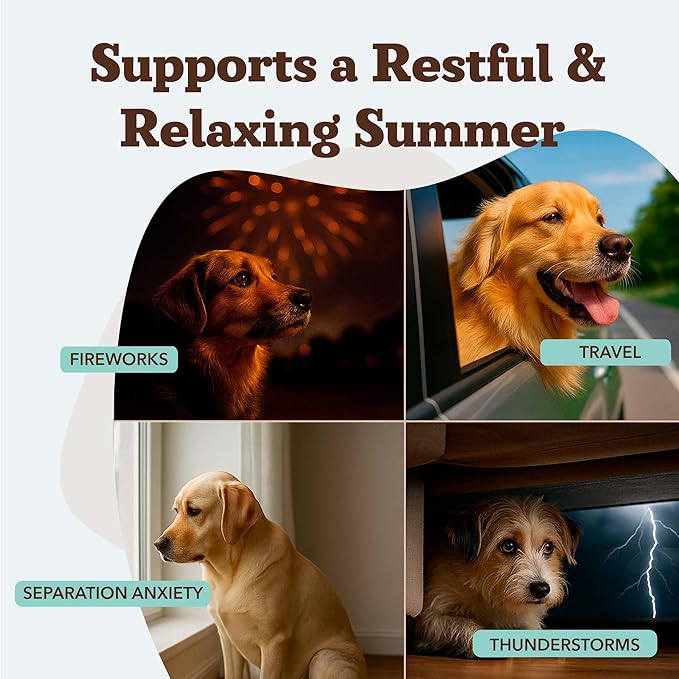 Natural Dog Company Calming Chews for Dogs, Stress & Anxiety Relief Supplement with Chamomile, Valerian Root & Melatonin, Natural Soothing Chews for Travel, Thunder, Fireworks & Separation (90 cnt)-Mewly Pet