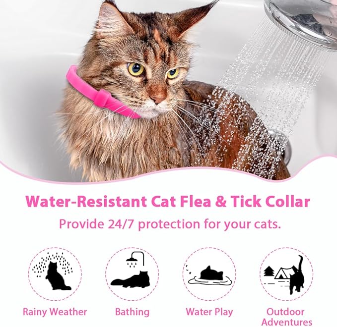4 Pack Flea and Tick Collar for Cats, Natural Plant Oil Formula Cat Flea Collar Provides 32-Month Protection for Flea & Tick Prevention, Waterproof & Adjustable Cat Flea Treatment for Most Cats-Mewly Pet