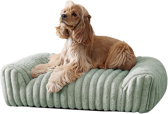 Arlee Saddle Sofa Memory Foam Pet Bed, Comfortable & Washable, Ideal for Dogs and Puppies, Extra Comfort, Couch Design, Crate & Kennel Furniture, Pet Supplies & Essentials, Sage, Medium-Mewly Pet