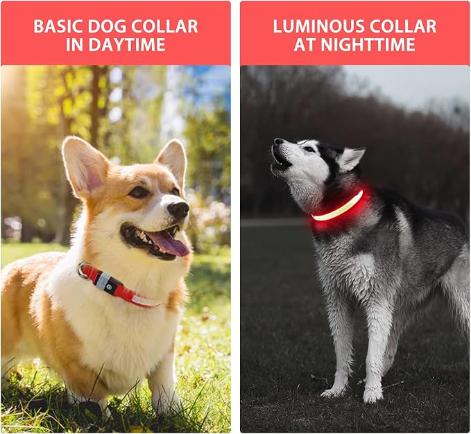 PcEoTllar Light up Dog Collar for Night Walking - LED Dog Collar Light Rechargeable Color Changing, Glow in The Dark Dog Collars Waterproof Glowing Dog Collars for Large Small Medium Dogs-Mewly Pet